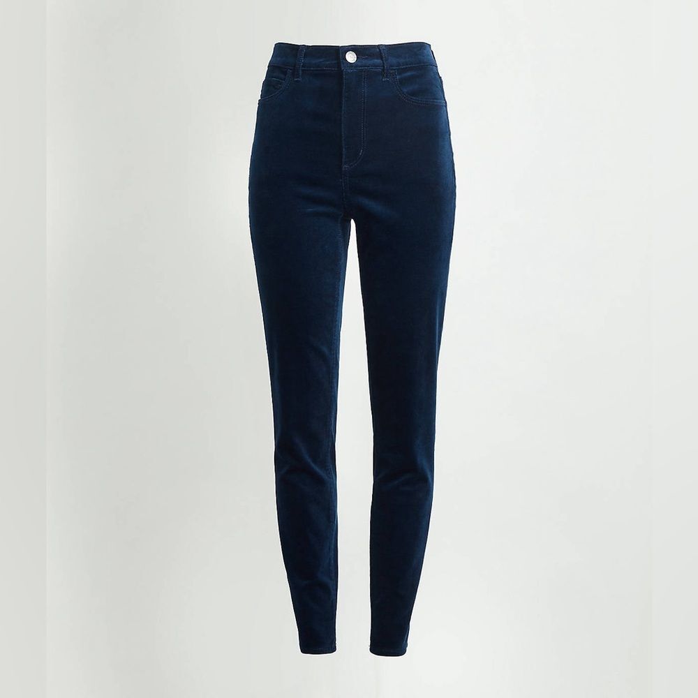 Loft Navy Skinny Pants Velvet